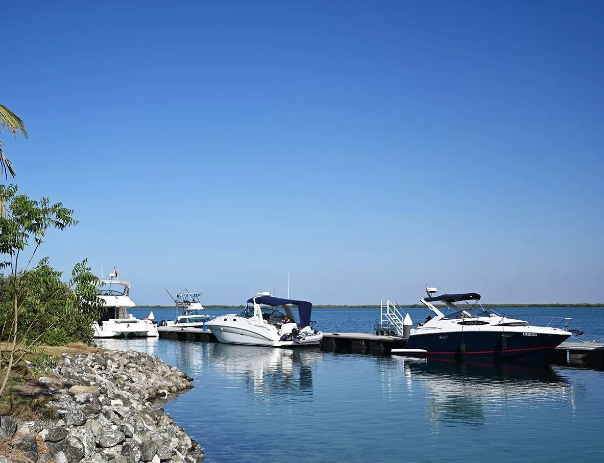 dubai marina yacht club parking